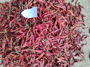 Teja Red Chilli