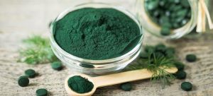 organic spirulina powder