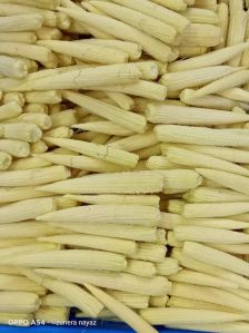 Baby Corn