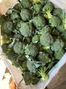 Broccoli