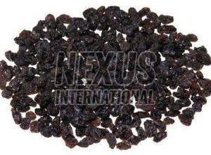 Currant Raisins