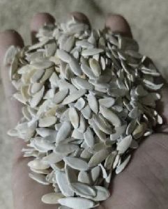 Muskmelon Seeds