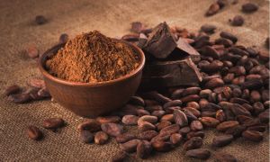 organic cacao powder