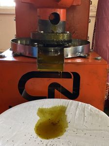 Wood Pressed Black Mustard Oil