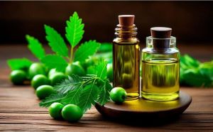 Wood Pressed Neem Oil