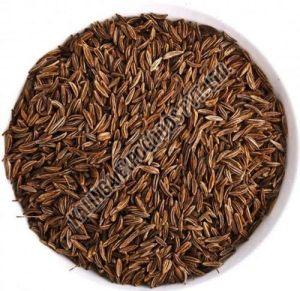 dry cumin seed