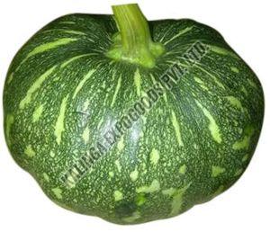 Fresh Green Pumpkin