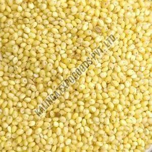 Organic Millet