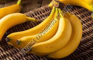 Yellow Banana