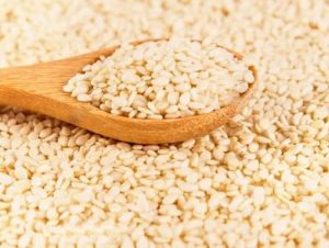 Raw White Sesame Seeds