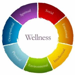 Comprehensive Wellness Program Service