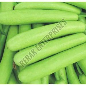 Fresh Bottle Gourd