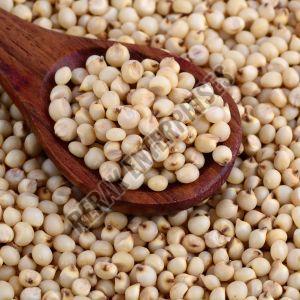 Sorghum Millet Seeds