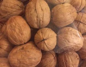 Organic Walnut Kernels