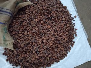 Dried Betel Nut