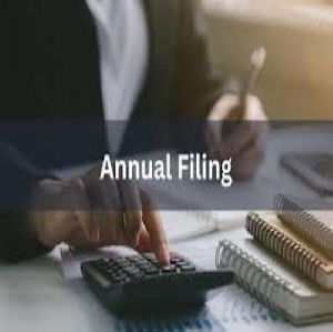 Annual Filing Services