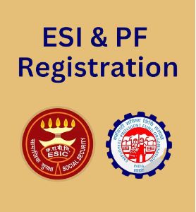 ESI and PF Returns