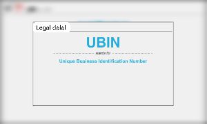 unique business identification number registration services