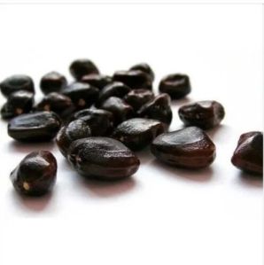 Black Tamarind Seed