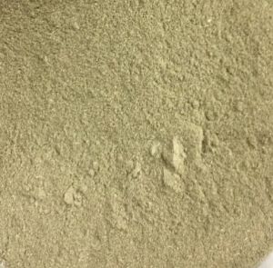 Moringa Powder