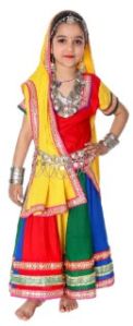 Multicolor Haryanvi Lehenga Choli Costume