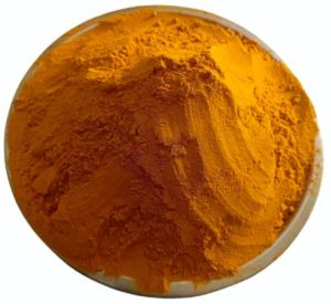 Rajapuri Turmeric Powder