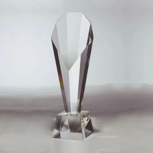 Customized Corporate Trophy CG1031