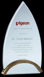 Glass Plaque for Corporate Events PM5019