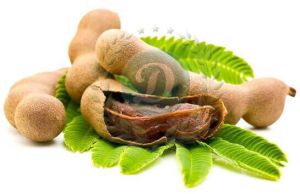 Carboxy Methyl Tamarind Powder