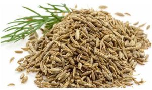 Cumin Seeds