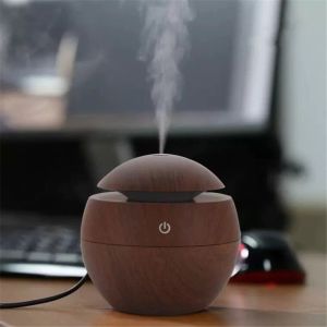 Sage Aroma Diffuser Air Humidifier with Colorful Change for Office (D001)