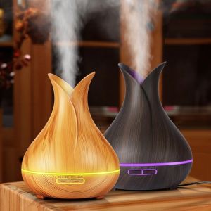 Sage Aroma Diffuser Air Humidifier with Colorful Change for Office (D002)