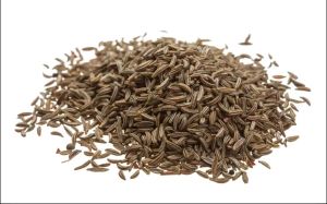 Caraway Seeds