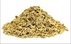 Fennel Seeds