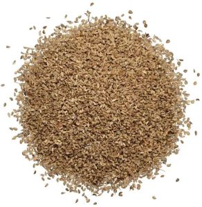 Oregano (Ajwain)