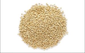 Quinoa Seeds