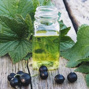 Black Currant Oil