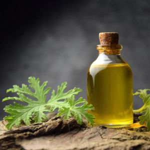 Citronella Essential Oil