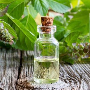 Holy Basil Essential Oil