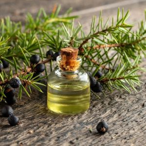 Juniper Essential Oil