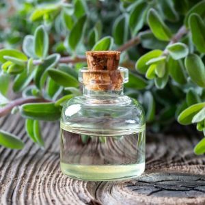 Marjoram Essential Oil