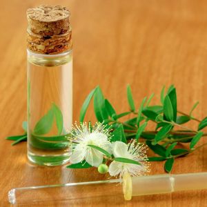 Myrtle Essential Oil