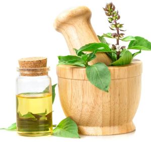 Sweet Basil Essential Oil