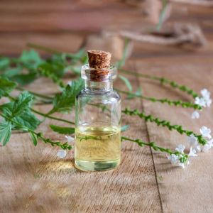 Verbena Oil