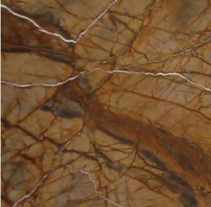 Rain Forest Brown Marble