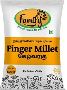 Finger Millet (Ragi)