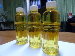 Sunflower Oil