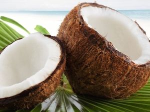 Coconut