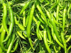 Green Chilli