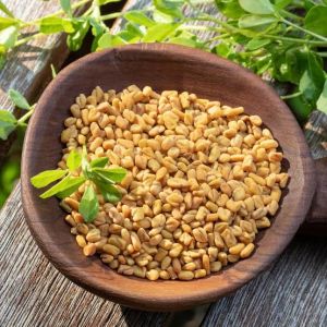 Fenugreek Seeds